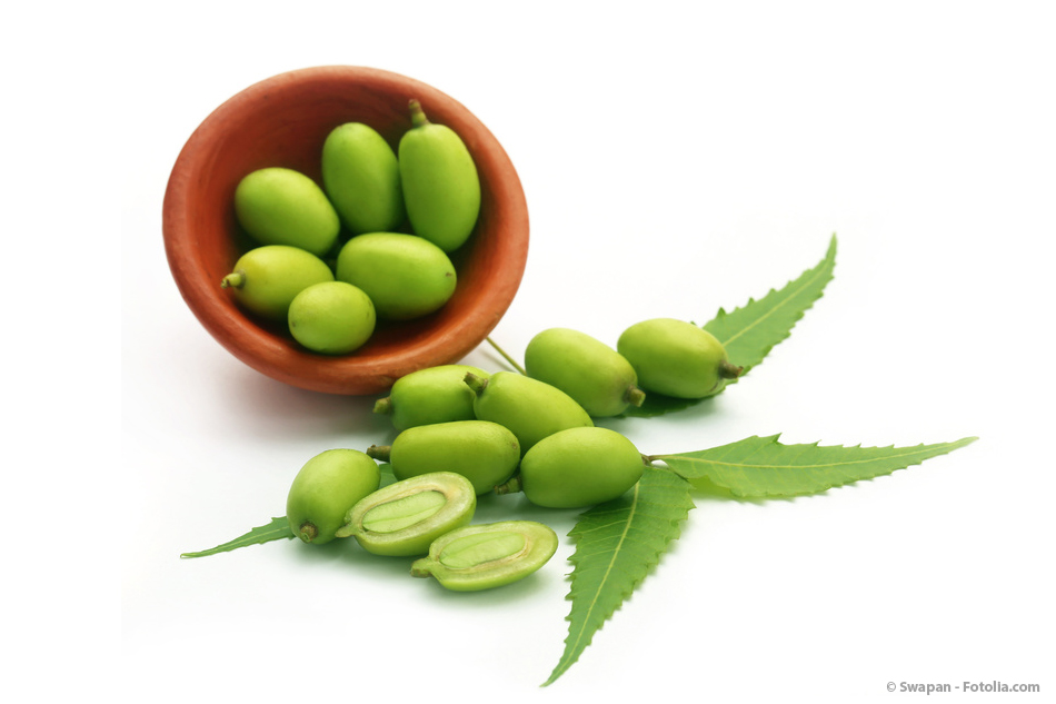 Neemöl in der Naturkosmetik  width=